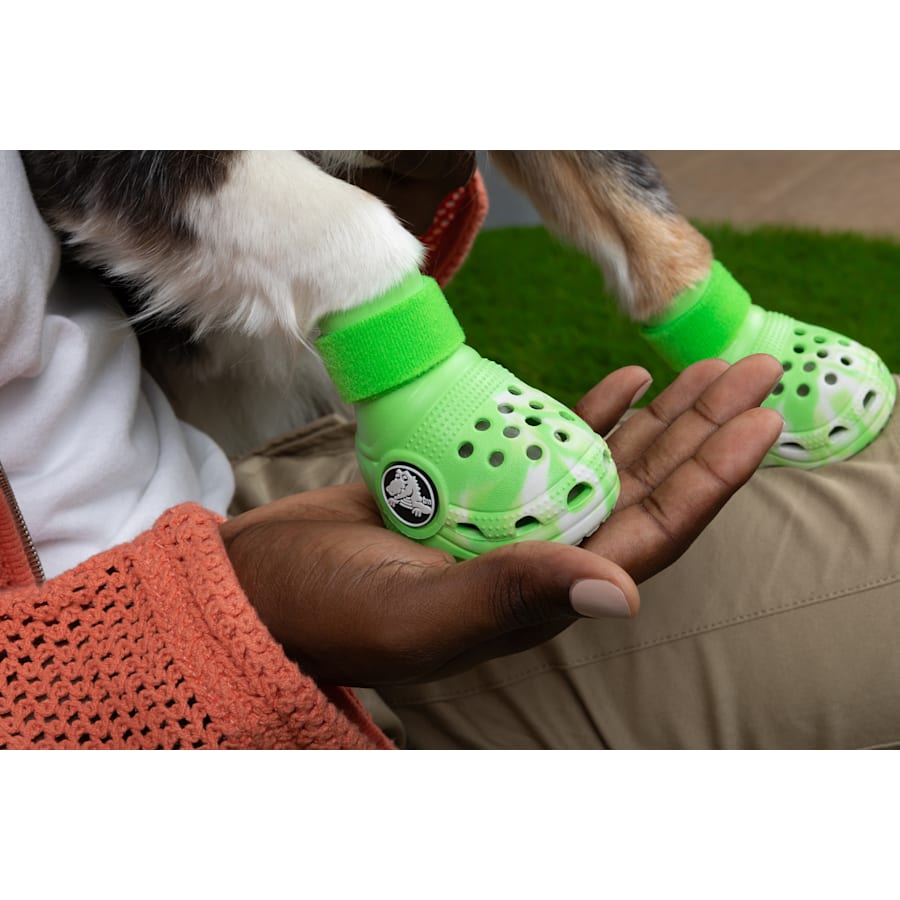 Pet Crocs Boots - Image 4